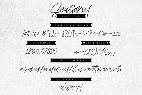 Seasony Font Poster 5