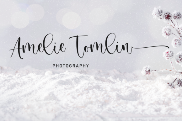 Secret Winter Font Poster 2