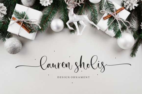 Secret Winter Font Poster 3