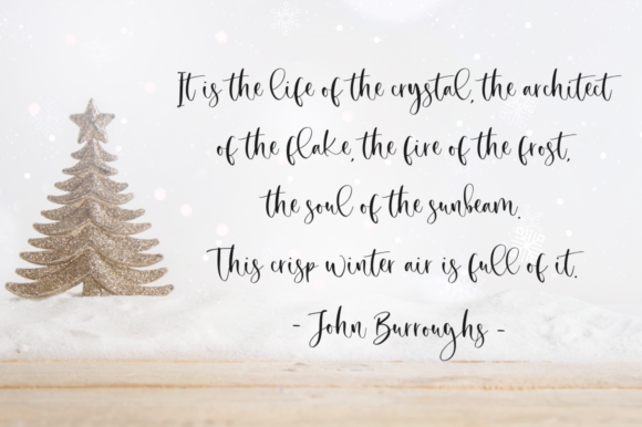 Secret Winter Font Poster 7