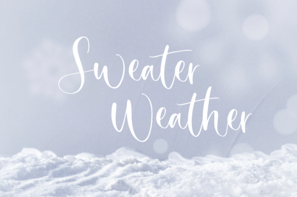 Secret Winter Font Poster 8