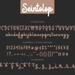 Seintolop Font Poster 8