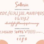 Sellaria Font Poster 7