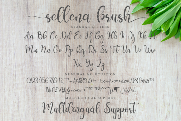 Sellena Font Poster 6