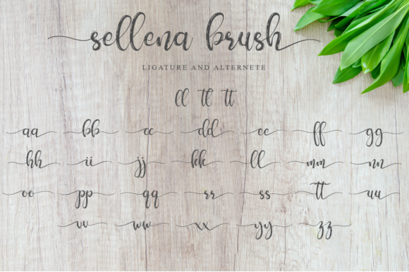 Sellena Font Poster 7