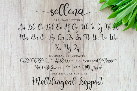 Sellena Font Poster 8