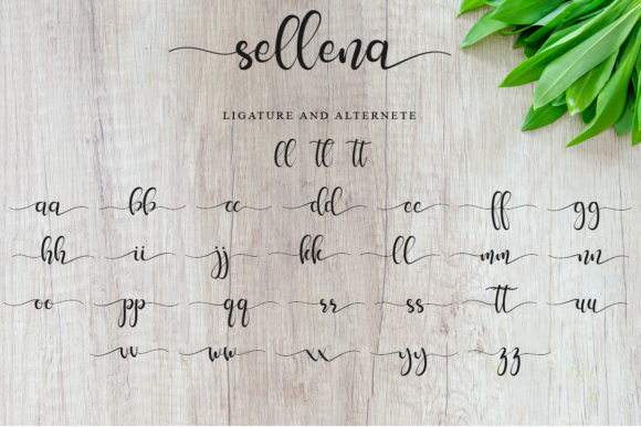 Sellena Font Poster 9