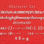 Sellky Font Poster 7