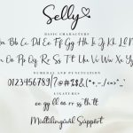 Selly  Font Poster 11