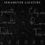 Serameyer Font Poster 11