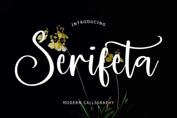 Serifeta Font Poster 1