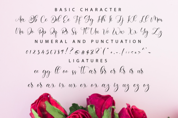 Serolissa Font Poster 11