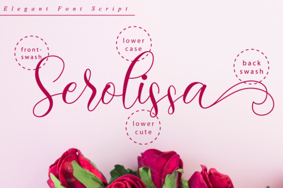 Serolissa Font Poster 10