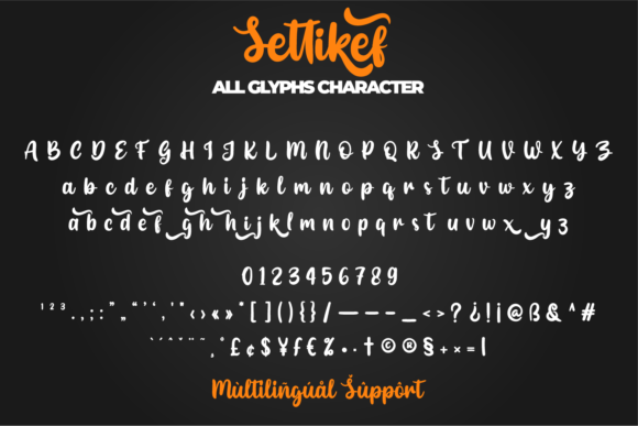 Settikef Font Poster 13