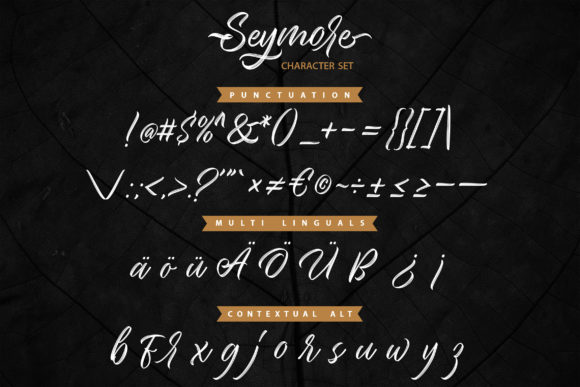 Seymore Font Poster 9