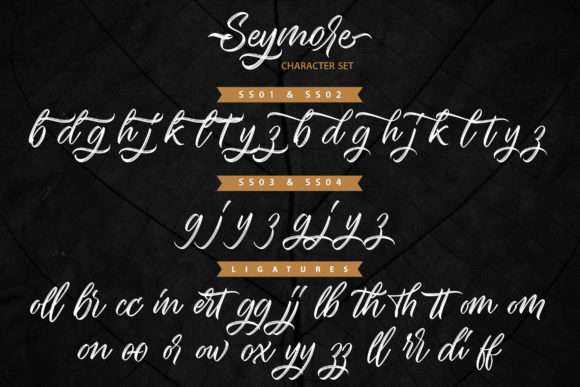 Seymore Font Poster 10