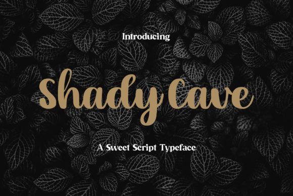 Shady Cave Font Poster 1