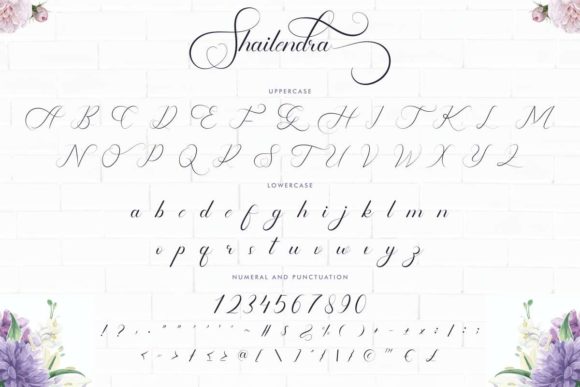 Shailendra Font Poster 5