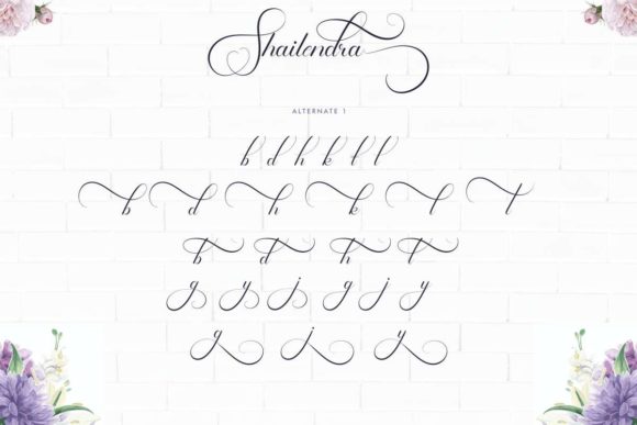 Shailendra Font Poster 7