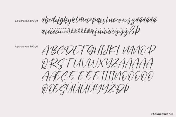 Shalsa Bella Font Poster 14