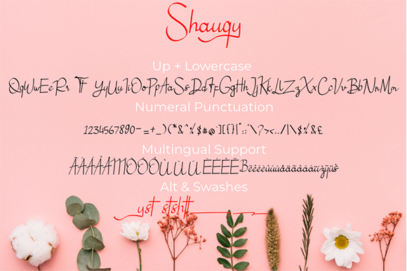 Shauqy Font Poster 6