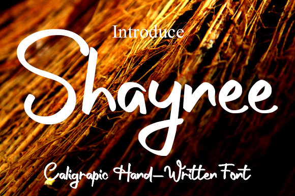 Shaynee Font Poster 1