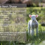 Sheep Sheep Font Poster 2