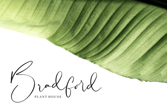 Sheridan Font Poster 2