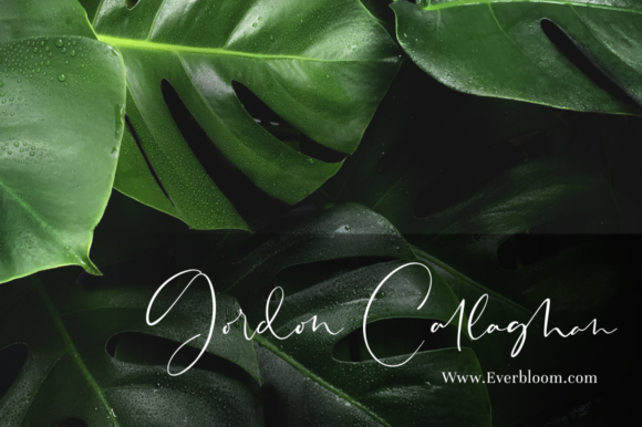 Sheridan Font Poster 6