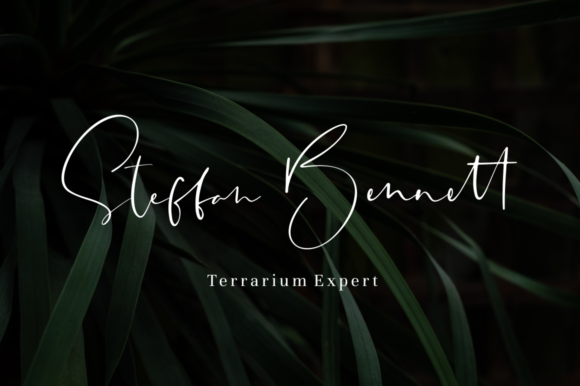 Sheridan Font Poster 10