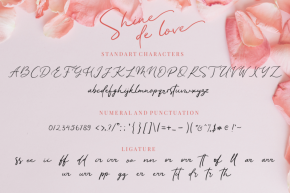 Shine De Love Font Poster 8