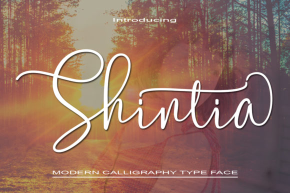 Shintia Font