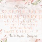 Shiny Aisyah Font Poster 14