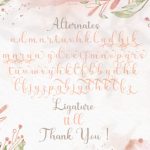 Shiny Aisyah Font Poster 15