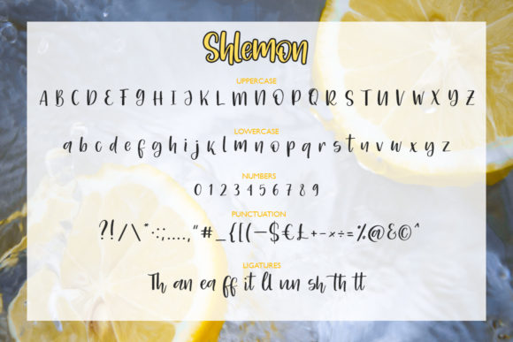Shlemon Font Poster 7