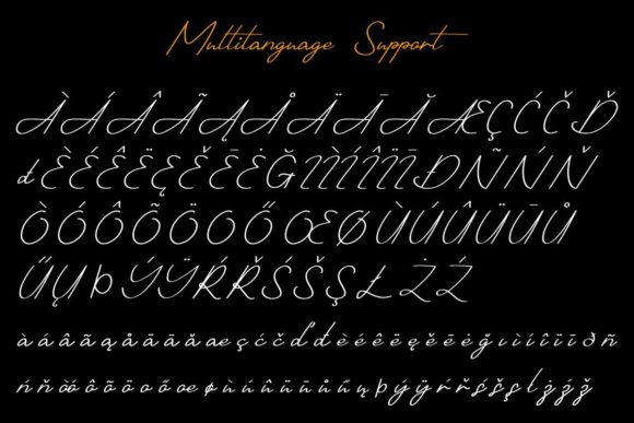 Shotflick Font Poster 13