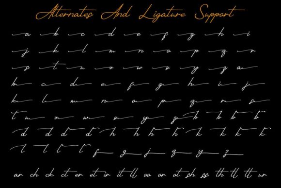 Shotflick Font Poster 14