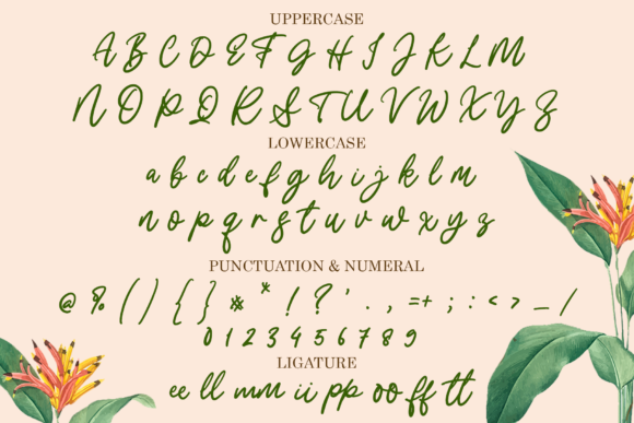 Shymptany Font Poster 4