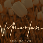 Siestha Font Poster 4