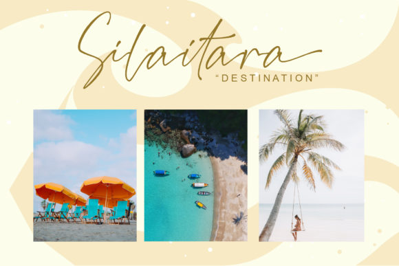 Signa Font Poster 4