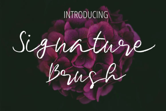 Signature Brush Font