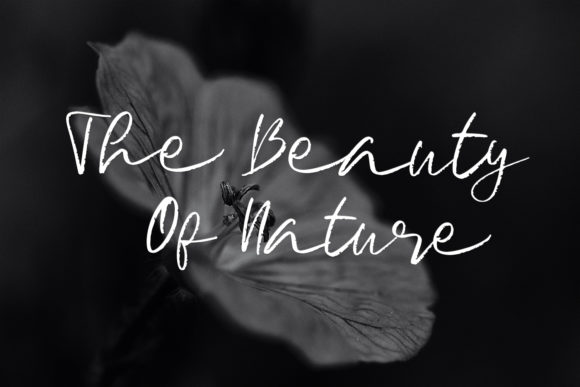 Signature Brush Font Poster 4