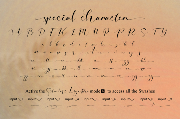 Signature Photopedia Font Poster 8