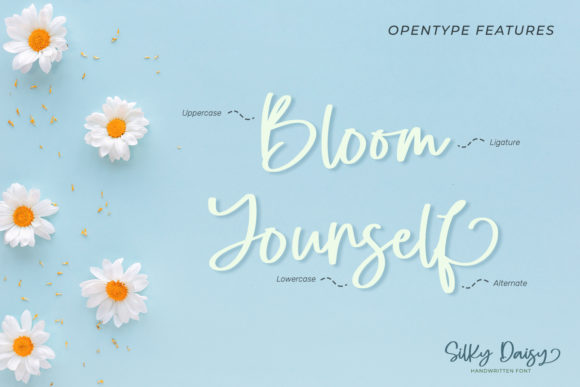 Silky Daisy Font Poster 5