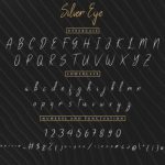 Silver Eye Font Poster 5