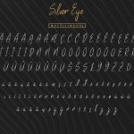 Silver Eye Font Poster 8