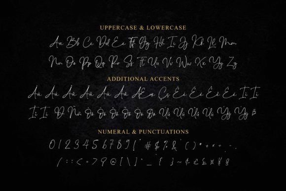 Sindenetta Font Poster 9