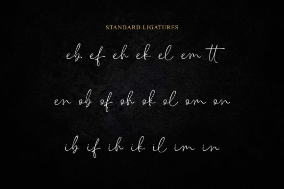 Sindenetta Font Poster 10