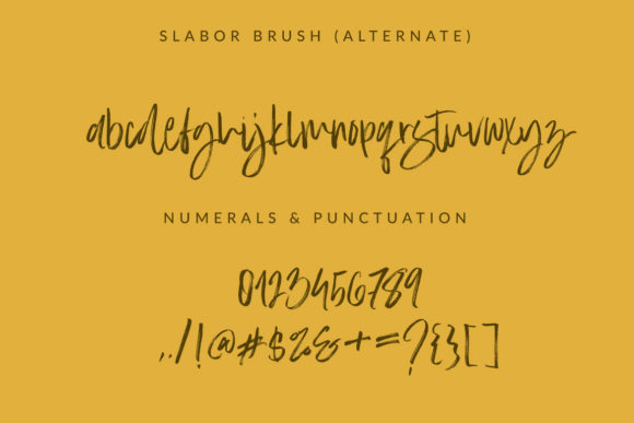 Slabor Brush Font Poster 7