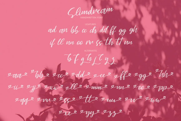 Slimdream Font Poster 11